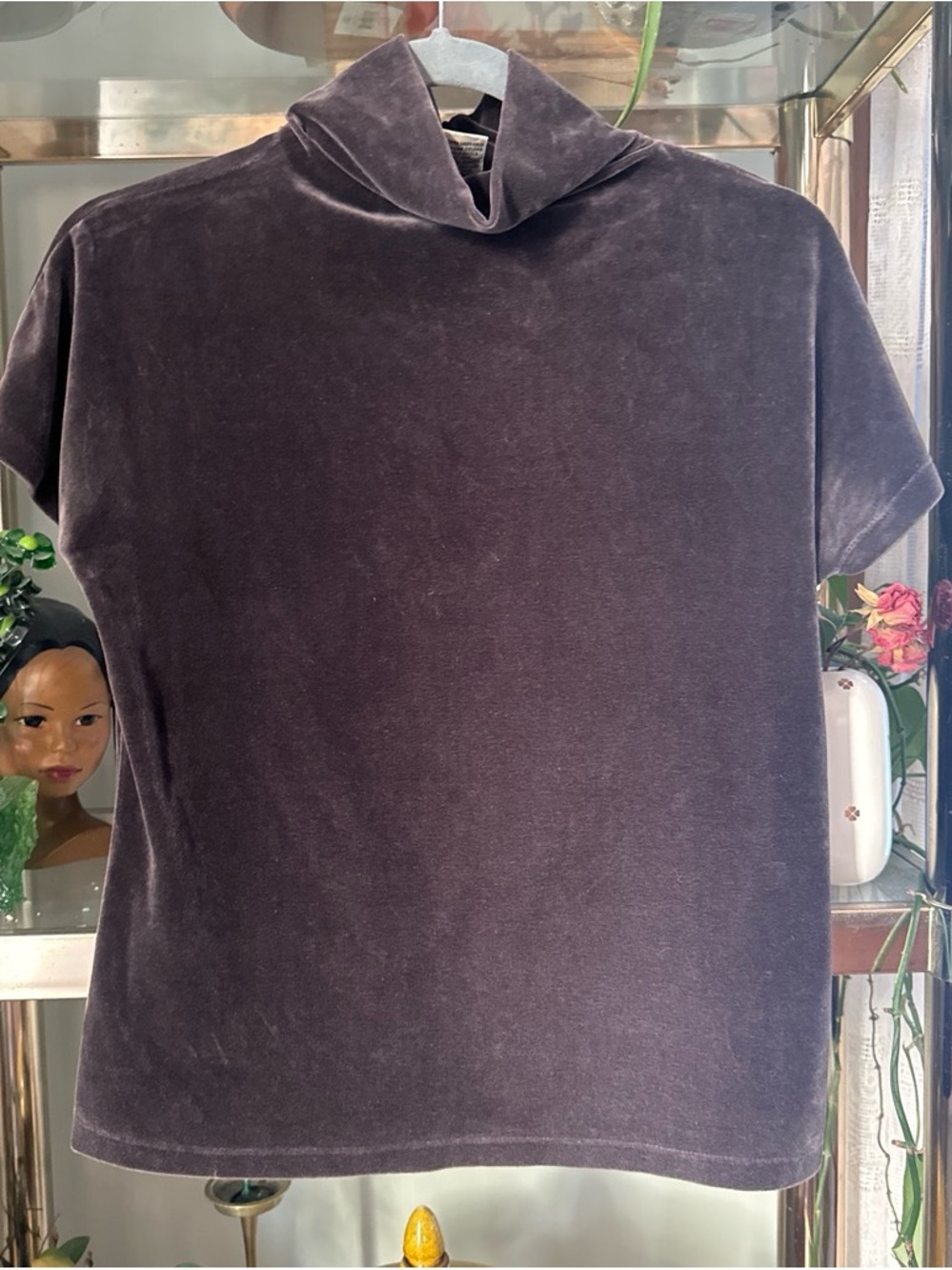 Vintage Short-Sleeve Velvet Top